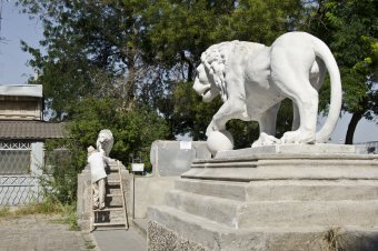 Отреставрированных львов у Воронцовского дворца откроют ко Дню города
