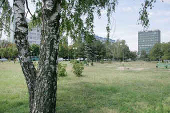 Площадь имени Бориса Деревянко через фотообъектив(фото)