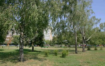 Площадь имени Бориса Деревянко через фотообъектив(фото)