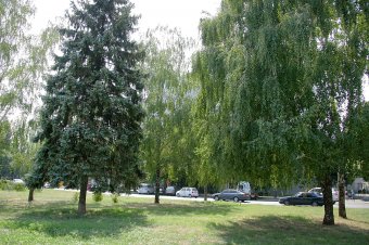 Площадь имени Бориса Деревянко через фотообъектив(фото)