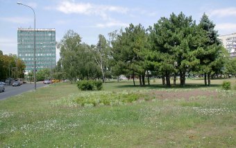 Площадь имени Бориса Деревянко через фотообъектив(фото)