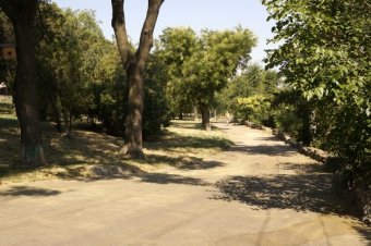 В Одессе обсудили вопросы благоустройства Стамбульского парка (фото)