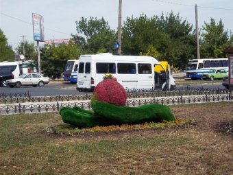 В Одессе появилась новая топиарная фигура «Рука с цветком» (фото)