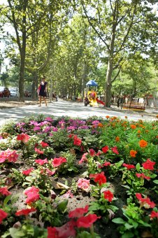 Открыт обновлённый сквер Героической обороны Одессы (фото)