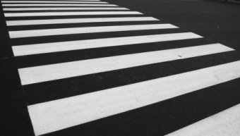 Начались работы по обновлению дорожной разметки у одесских школ