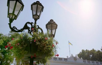 Миллион алых роз, а также незабудок, маргариток и других цветов выращено в теплицах одесского Горзелентреста в этом году (фото)