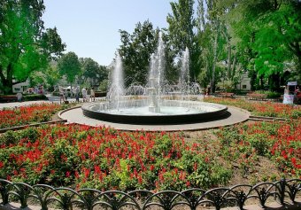 Миллион алых роз, а также незабудок, маргариток и других цветов выращено в теплицах одесского Горзелентреста в этом году (фото)