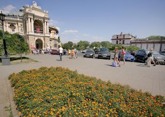Миллион алых роз, а также незабудок, маргариток и других цветов выращено в теплицах одесского Горзелентреста в этом году (фото)