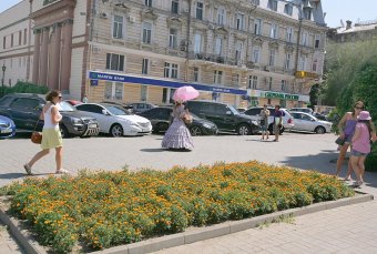 Миллион алых роз, а также незабудок, маргариток и других цветов выращено в теплицах одесского Горзелентреста в этом году (фото)