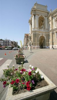Миллион алых роз, а также незабудок, маргариток и других цветов выращено в теплицах одесского Горзелентреста в этом году (фото)