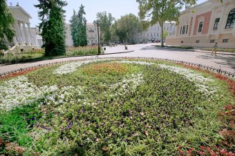 Миллион алых роз, а также незабудок, маргариток и других цветов выращено в теплицах одесского Горзелентреста в этом году (фото)