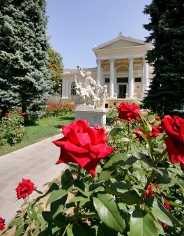 Миллион алых роз, а также незабудок, маргариток и других цветов выращено в теплицах одесского Горзелентреста в этом году (фото)