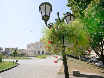 Миллион алых роз, а также незабудок, маргариток и других цветов выращено в теплицах одесского Горзелентреста в этом году (фото)