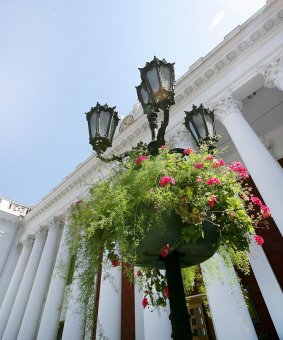 Миллион алых роз, а также незабудок, маргариток и других цветов выращено в теплицах одесского Горзелентреста в этом году (фото)