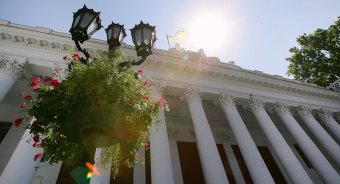 Миллион алых роз, а также незабудок, маргариток и других цветов выращено в теплицах одесского Горзелентреста в этом году (фото)