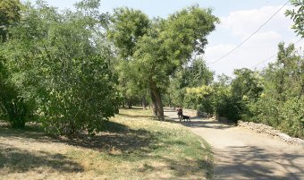Скоро в Одессе начнут облагораживать Стамбульский парк (фото)