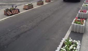 Милиция проводит проверку по факту повреждения клумб (фото)