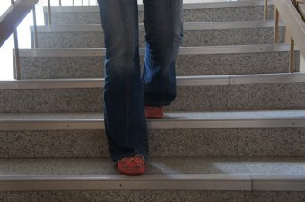 Милиционеры нашли и вернули в оздоровительный лагерь беглянок