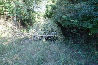 Милиционеры нашли виновника смертельного ДТП (фото)