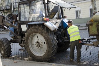 В Одессе продолжается обрезка сухостоя (фото)