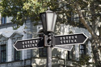 В Одессе продолжается обрезка сухостоя (фото)