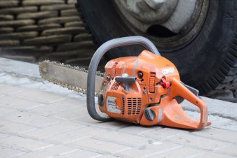 В Одессе продолжается обрезка сухостоя (фото)