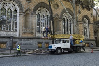 В Одессе продолжается обрезка сухостоя (фото)