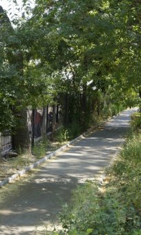 На Слободке благоустроили территорию возле детского сада (фото)