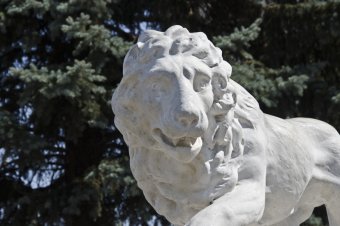Отреставрированные львы у Воронцовского дворца готовы к открытию