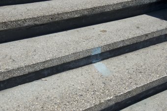 Отреставрированные львы у Воронцовского дворца готовы к открытию
