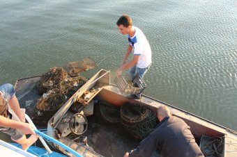 Прокуроры провели рейд на территории Нижнеднестровском парка  (фото)