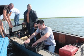 Прокуроры провели рейд на территории Нижнеднестровском парка  (фото)