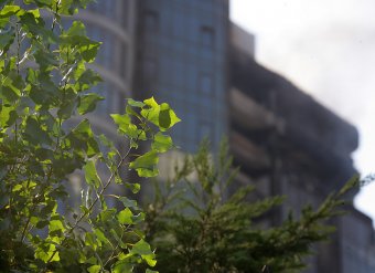 Пожар в Аркадии потушен: Двое спасателей пострадали (фото, видео)