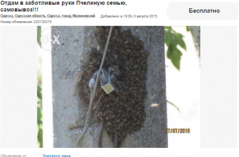 Самые странные объявления жителей Одесской области в Интернет