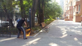 Забор-нахалстрой в Шампанском переулке снесен. Последует ли ответный ход «прихватизаторов»? (фото)
