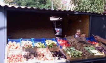 Одесские власти отчитываются о демонтаже незаконных торговых ларьков (фото)