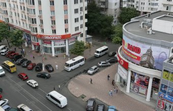 Осенний КОТОфест на одесской крыше (фото)