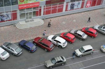 Осенний КОТОфест на одесской крыше (фото)