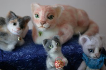 Осенний КОТОфест на одесской крыше (фото)