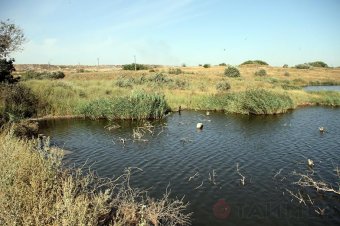Дальницкие карьеры: чем живёт главная свалка Одессы?