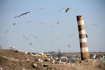Дальницкие карьеры: чем живёт главная свалка Одессы?