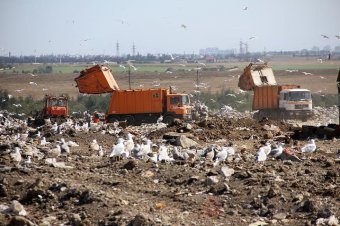 Дальницкие карьеры: чем живёт главная свалка Одессы?