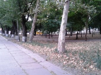В одесских парках прошли субботники