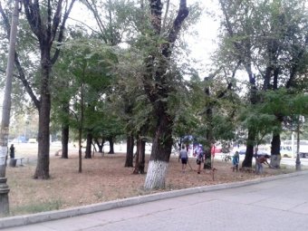 В одесских парках прошли субботники