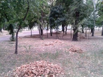 В одесских парках прошли субботники