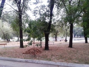 В одесских парках прошли субботники