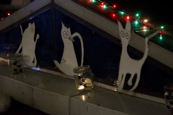 Песни на крыше