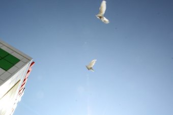 В Одессе состоялось торжественная церемония открытия нового детского сада по ул. Марсельской, 54