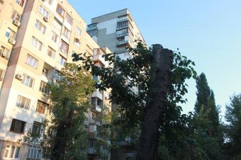 Андрей Терновский: Пока дети играют, взрослые решают насущные проблемы ЖКХ (фото)