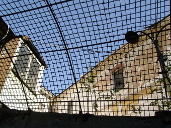 Членам одесской ОПГ по производству психотропов вынесен суровый приговор